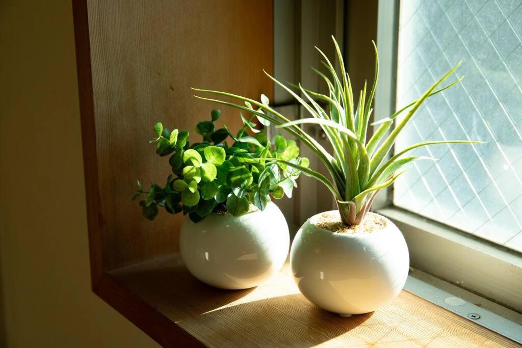 Apartamento The Archaic / Luxury Near Shinjuku *